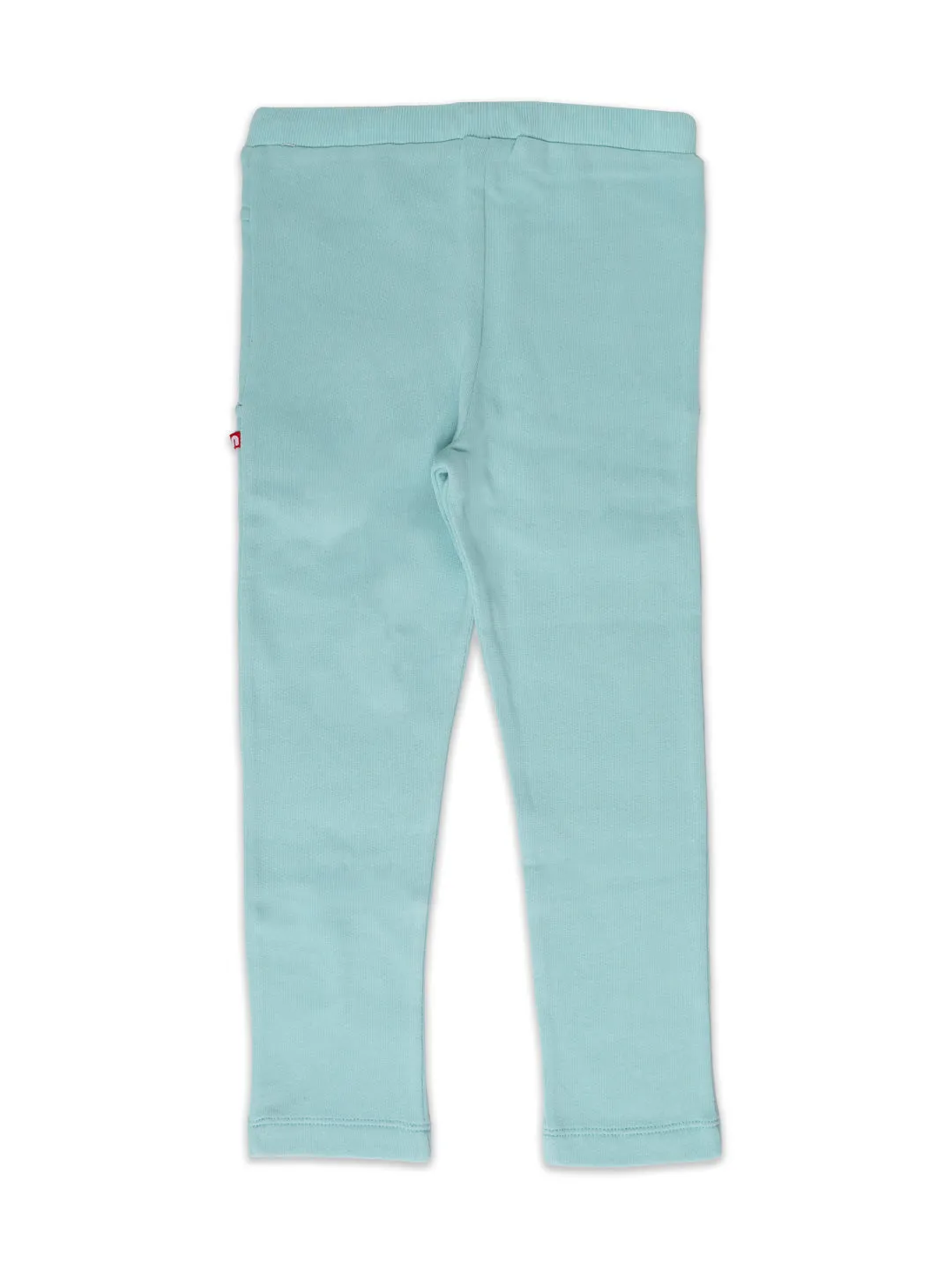 Fleece Aqua blue Track Pant/ Legging for Boys