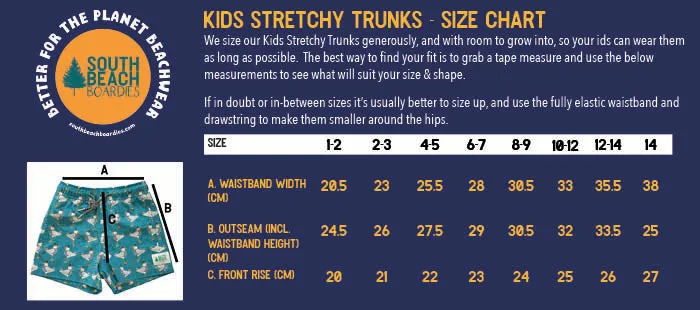 Kids Stretchy Trunks: Bin Chickens